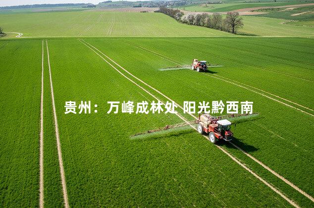 贵州：万峰成林处 阳光黔西南